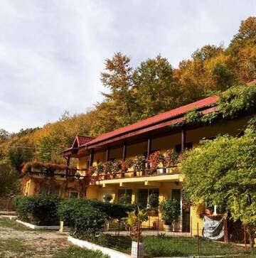 Фото номера Люкс с 2 спальнями Отели типа «постель и завтрак» house in the woods г. Решица 14